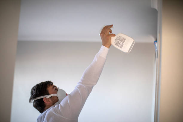 Best Mold Cleaning Services  in Escobares, TX