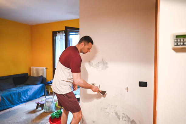 Best Local Mold Removal Service  in Escobares, TX