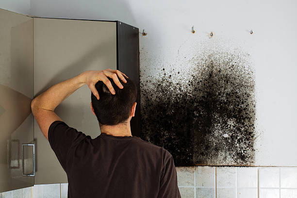 Best Mold Remediation  in Escobares, TX